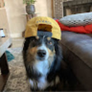 Meet your Posher, Abby